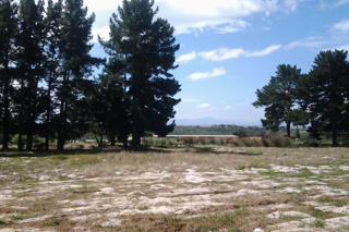 Commercial Property for Sale in Albertinia Western Cape